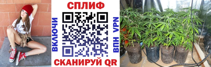 Купить закладки  Печоры  Бошки Шишки LSD WEED 